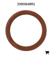 AGCO 3909840M1 Шайба