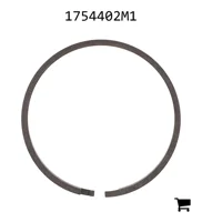 AGCO 1754402M1 Кольцо