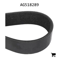 AGCO AG518289 Ремень