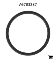 AGCO AG703287 Уплотнительное кольцо насоса TerraGator