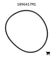 AGCO 1896417M1 Уплотнительное кольцо