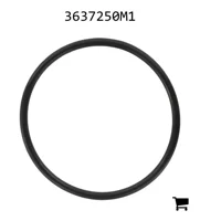 AGCO 3637250M1 Уплотнение