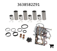 AGCO 3638582Z91 Комплект для капитального ремонта двигателя
