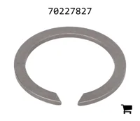 AGCO 70227827 Кольцо