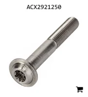 AGCO ACX2921250 Винт Torx