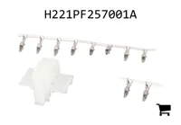 AGCO H221PF257001A Точка разъединения