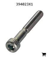AGCO 394023X1 Винт с цилиндрической головкой и шестигранным углублением