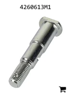 AGCO 4260613M1 Палец