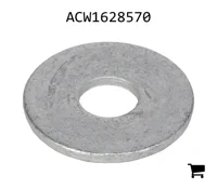 AGCO ACW1628570 Плоская шайба