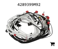 AGCO 4289399M92 Жгут