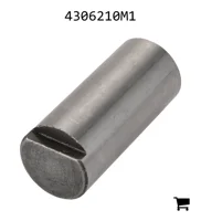 AGCO 4306210M1 Палец вилки