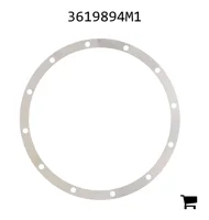 AGCO 3619894M1 Регулировочная шайба