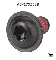 AGCO ACW1793620 Винт с цилиндрической головкой