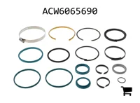 AGCO ACW6065690 Ремкомплект