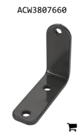 AGCO ACW3807660 Уголок