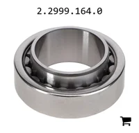 AGCO 2.2999.164.0 Подшипник