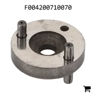 AGCO F004200710070 Регулировочная шайба