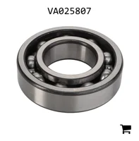 AGCO VA025807 Шариковый подшипник