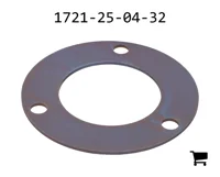 AGCO 1721-25-04-32 Диск