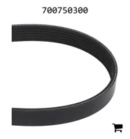 AGCO 700750300 Ремень Micro-V