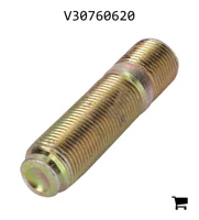 AGCO V30760620 Винт