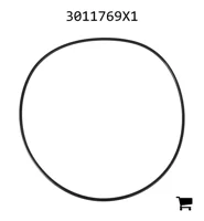 AGCO 3011769X1 Уплотнительное кольцо