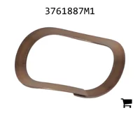 AGCO 3761887M1 Шайба