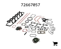 AGCO 72667057 Ремкомплект