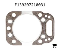 AGCO F139207210031 Прокладка головки блока цилиндров
