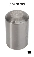 AGCO 72420789 Поршень