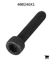 AGCO 400246X1 Болт с шестигранной головкой