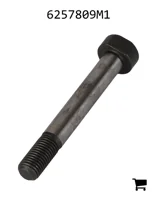 AGCO 6257809M1 Болт