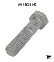 AGCO AG561598 Болт с шестигранной головкой