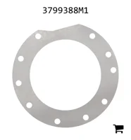 AGCO 3799388M1 Регулировочная шайба