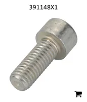 AGCO 391148X1 Винт с цилиндрической головкой и шестигранным углублением
