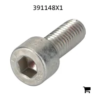 AGCO 391148X1 Винт с цилиндрической головкой и шестигранным углублением