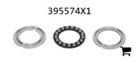 AGCO 395574X1 Опорный подшипник