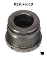 AGCO R12070319 Заглушка