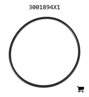 AGCO 3001894X1 Уплотнительное кольцо