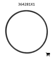 AGCO 364281X1 Уплотнительное кольцо