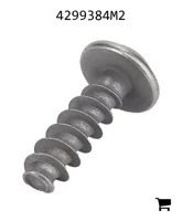 AGCO 4299384M2 Винт