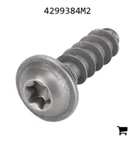 AGCO 4299384M2 Винт