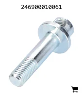 AGCO 246900010061 Болт