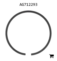 AGCO AG712293 Поршневое кольцо гидромотора колеса