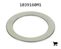 AGCO 1039160M1 Шайба