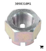 AGCO 3098310M1 Гайка