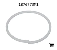 AGCO 1876773M1 Кольцо