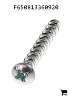 AGCO F650813360920 Винт