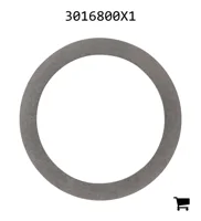 AGCO 3016800X1 Регулировочная шайба