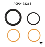 AGCO ACP0498260 Ремкомплект